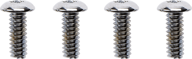 DRAG SPECIALTIES 2401-1565 Screw Kit - Switch Housing - Chrome — image 1 of 2
