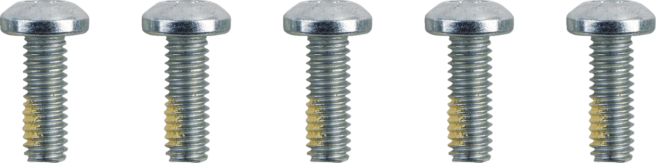 DRAG SPECIALTIES 2401-1582 Hardware Kit - Brake Rotor - Torx - without Nuts - 5/16"-18