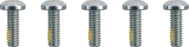 DRAG SPECIALTIES 2401-1582 Hardware Kit - Brake Rotor - Torx - without Nuts - 5/16"-18