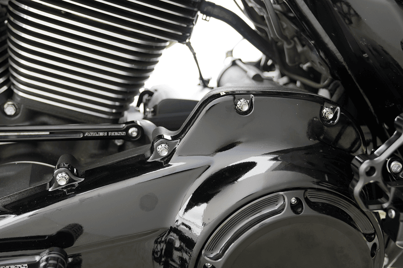 ARLEN NESS 2401-1728 Bolt Kit - Primary Cover - Titanium - 12-Point - FLT - Polished — image 2 of 2