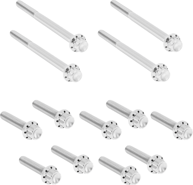 ARLEN NESS 2401-1728 Bolt Kit - Primary Cover - Titanium - 12-Point - FLT - Polished — image 1 of 2