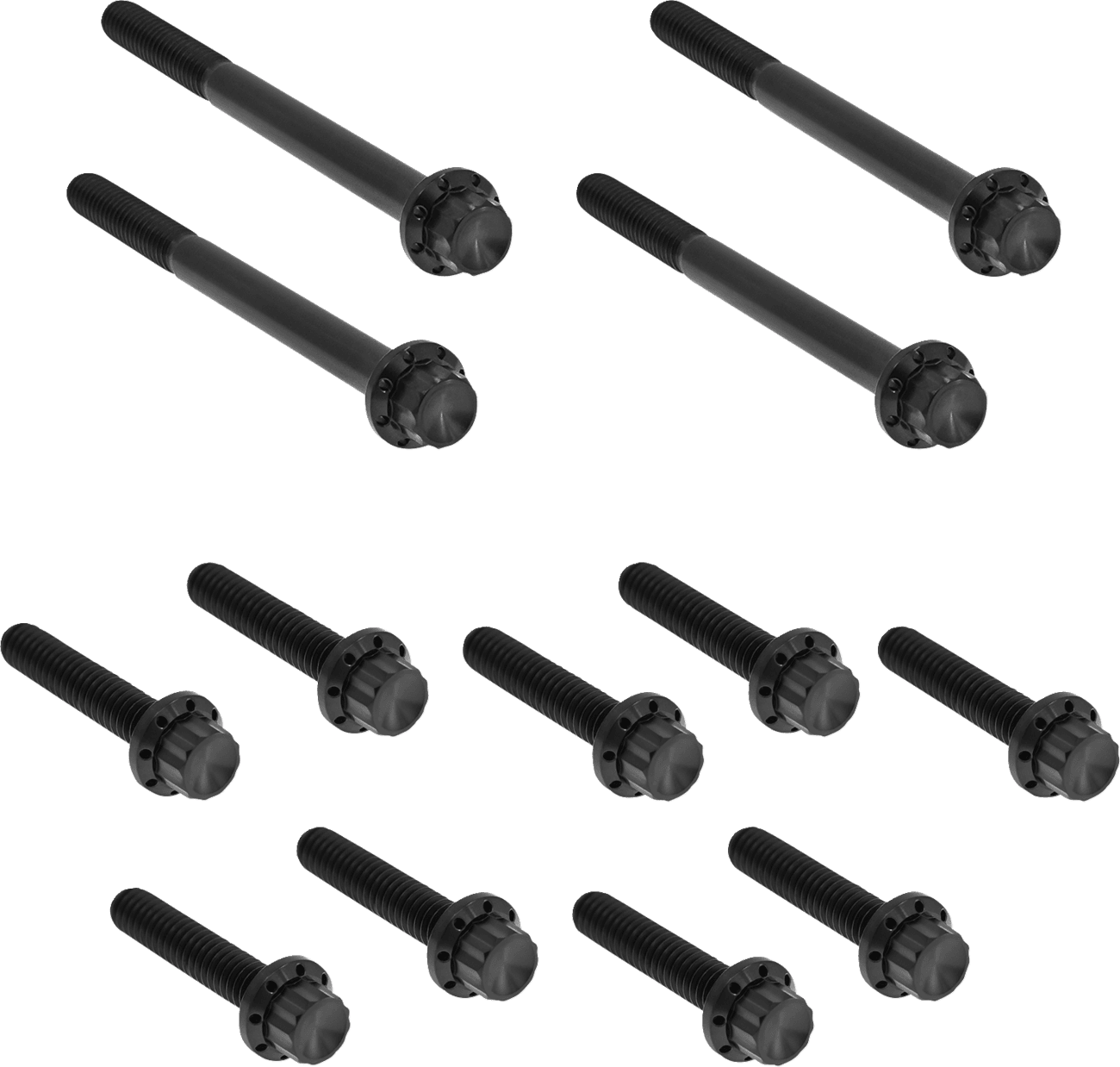 ARLEN NESS 2401-1729 Bolt Kit - Primary Cover - Titanium - 12-Point - FLT - Black