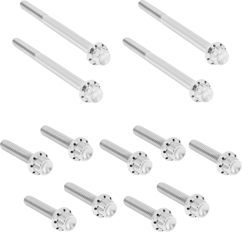 ARLEN NESS 2401-1731 Bolt Kit - Primary Cover - Titanium - 12-Point - Softail - Polished