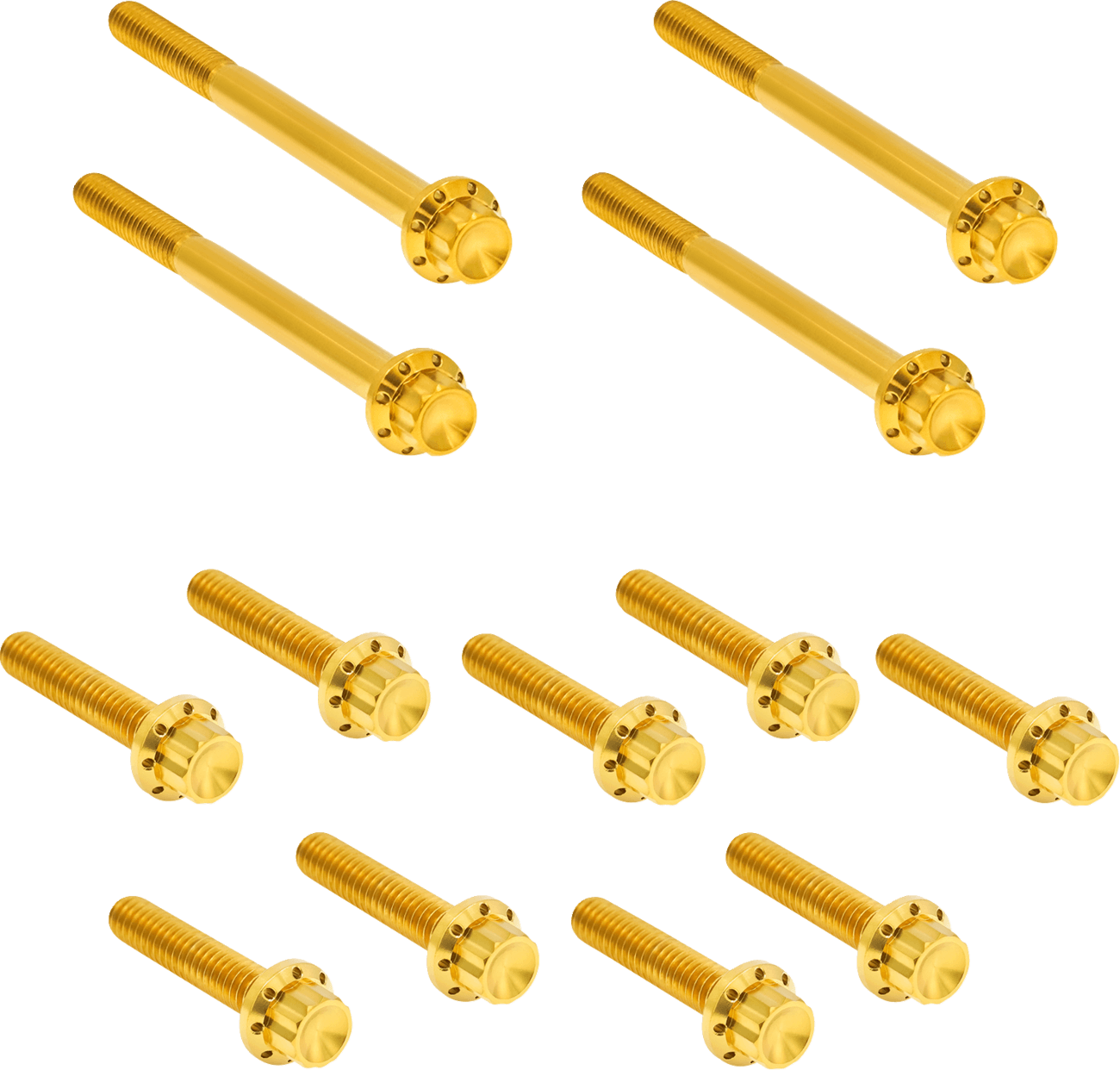 ARLEN NESS 2401-1733 Bolt Kit - Primary Cover - Titanium - 12-Point - Softail - Gold