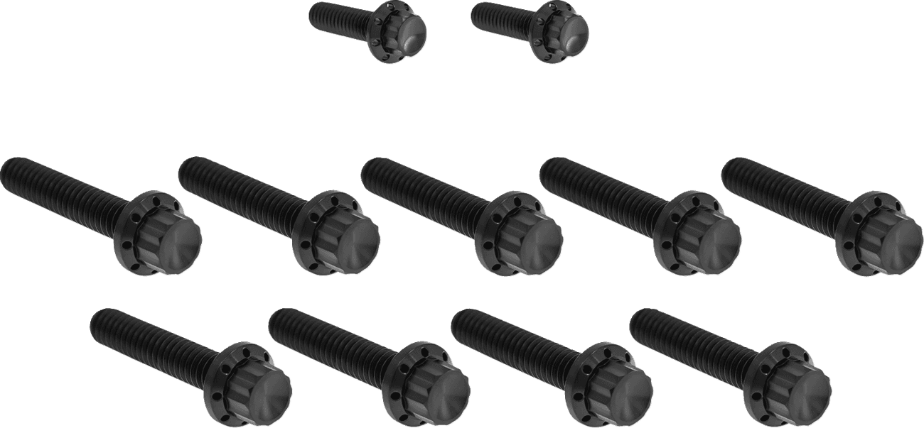 ARLEN NESS 2401-1735 Bolt Kit - Cam Cover/Point Cover - Titanium - 12-Point - Black