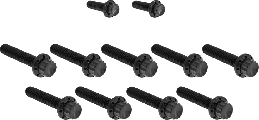 ARLEN NESS 2401-1735 Bolt Kit - Cam Cover/Point Cover - Titanium - 12-Point - Black — image 1 of 2