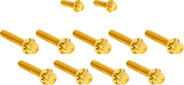 ARLEN NESS 2401-1736 Bolt Kit - Cam Cover/Point Cover - Titanium - 12-Point - Gold