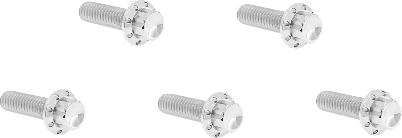 ARLEN NESS 2401-1740 Bolt Kit - Derby Cover - 12-Point - Titanium - Polished