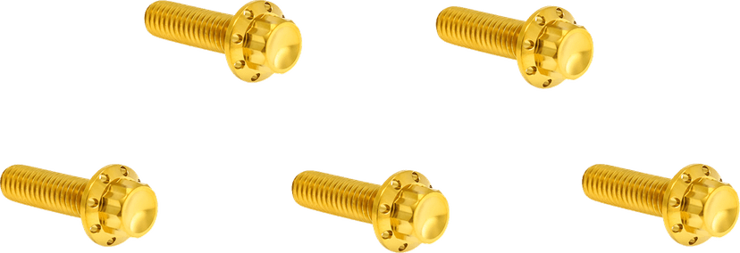 ARLEN NESS 2401-1742 Bolt Kit - Derby Cover - 12-Point - Titanium - Gold