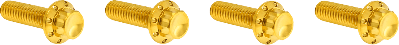 ARLEN NESS 2401-1757 Bolt Kit - Transmission Top Cover - 12-Point - Titanium - Gold