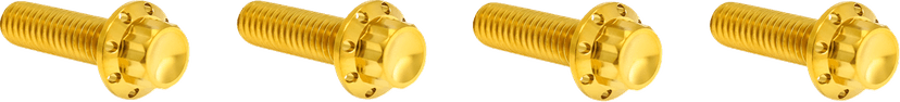 ARLEN NESS 2401-1757 Bolt Kit - Transmission Top Cover - 12-Point - Titanium - Gold
