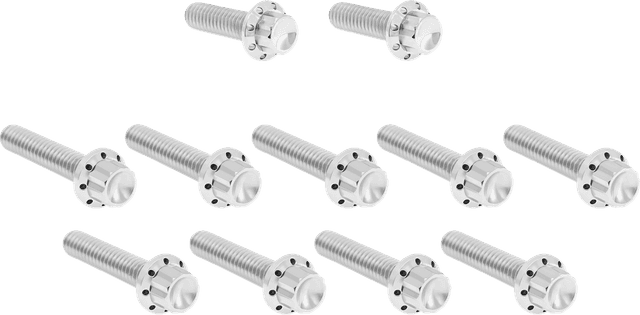 ARLEN NESS 2401-1758 Bolt Kit - Cam Cover/Point Cover - Titanium - 12-Point - Polished — image 1 of 3