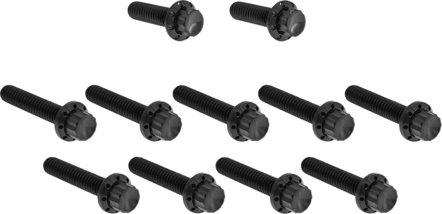 ARLEN NESS 2401-1759 Bolt Kit - Cam Cover/Point Cover - Titanium - 12-Point - Black