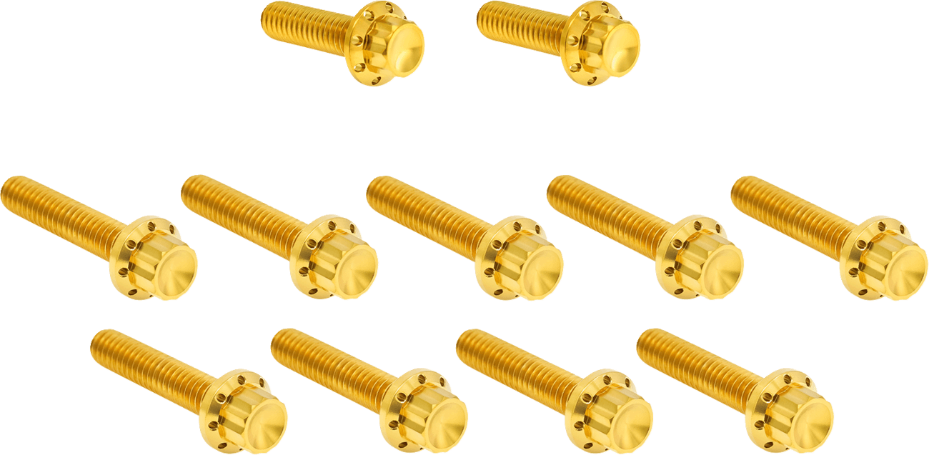 ARLEN NESS 2401-1760 Bolt Kit - Cam Cover/Point Cover - Titanium - 12-Point - Gold
