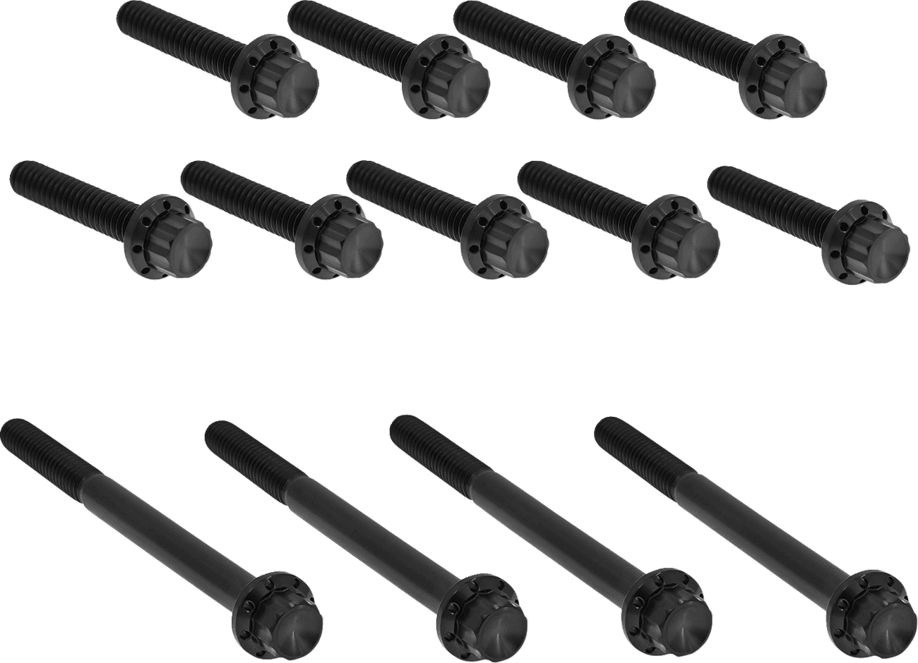 ARLEN NESS 2401-1768 Bolt Kit - Primary Cover - Titanium - 12-Point - Twin Cam - Black