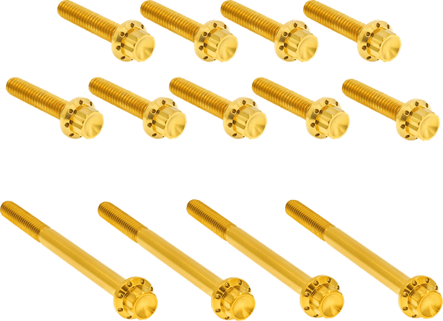 ARLEN NESS 2401-1769 Bolt Kit - Primary Cover - Titanium - 12-Point - Twin Cam - Gold