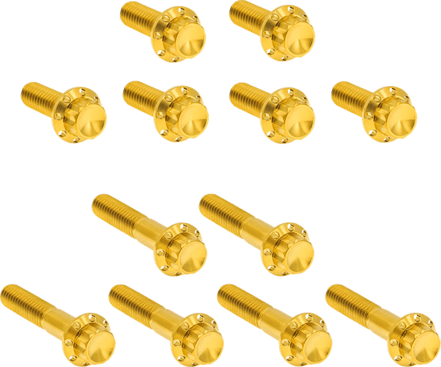 ARLEN NESS 2401-1772 Bolt Kit - Rocker Box - 12-Point - Titanium - Gold