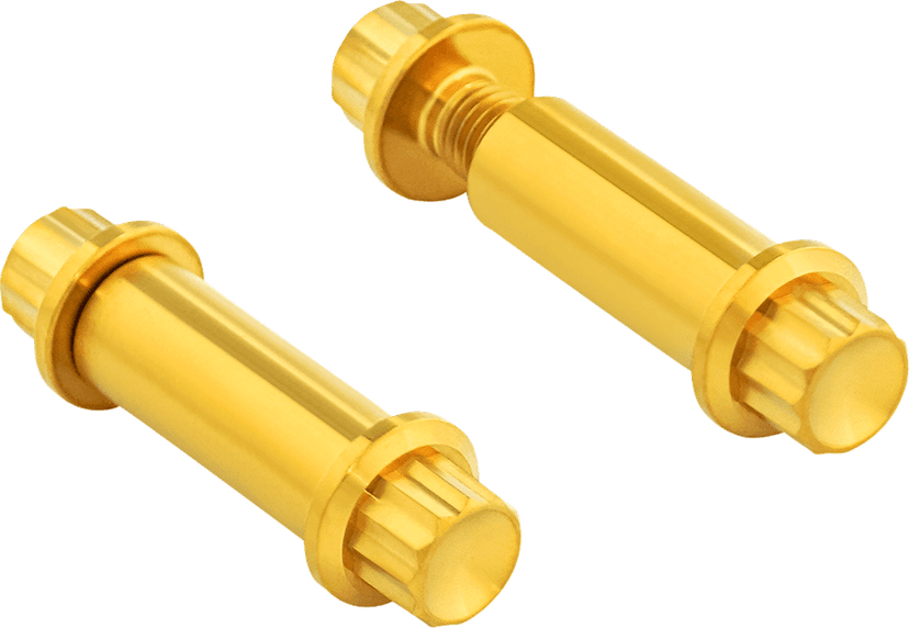 ARLEN NESS 2401-1777 Bolt Kit - Footpeg - 12-Point - Titanium - Gold