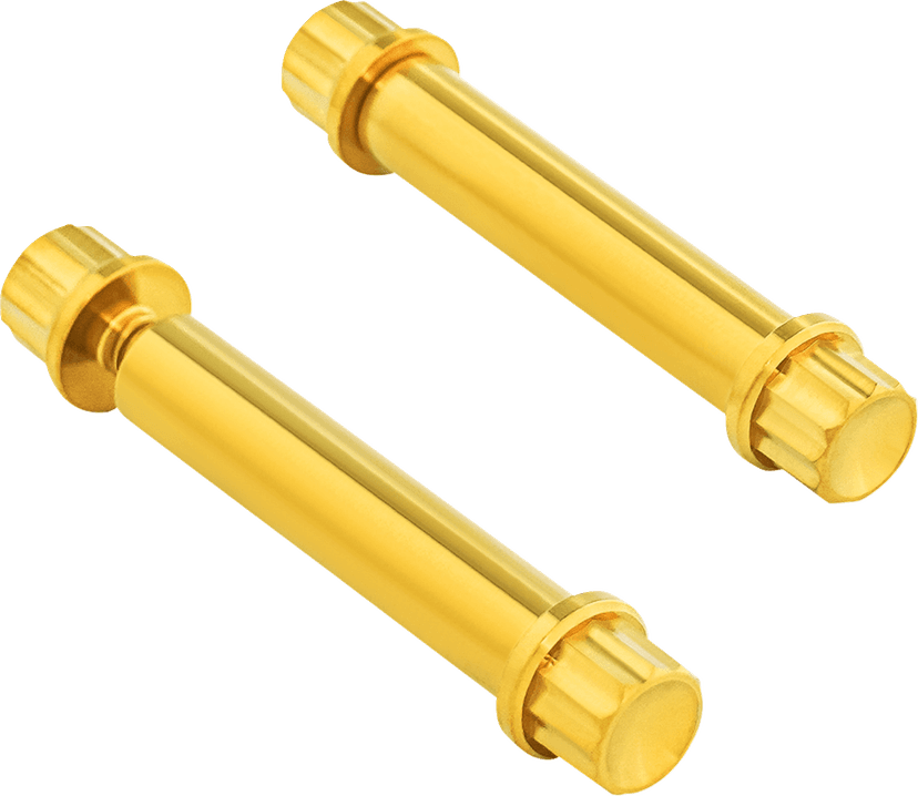 ARLEN NESS 2401-1780 Bolt Kit - Footpeg - 12-Point - Titanium - Gold