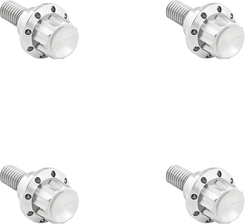 ARLEN NESS 2401-1781 Bolt Kit - Windshield - 12-Point - Titanium - Silver