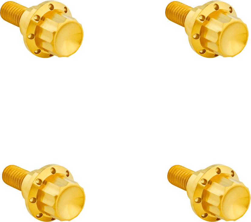 ARLEN NESS 2401-1783 Bolt Kit - Windshield - 12-Point - Titanium - Gold