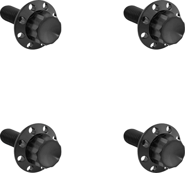 ARLEN NESS 2401-1785 Bolt Kit - Windshield - Titanium - 12-Point - Black
