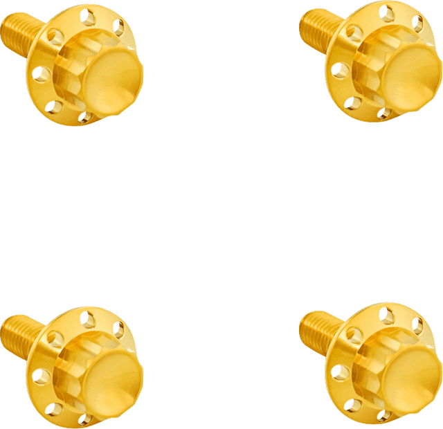 ARLEN NESS 2401-1786 Bolt Kit - Windshield - Titanium - 12-Point - Gold