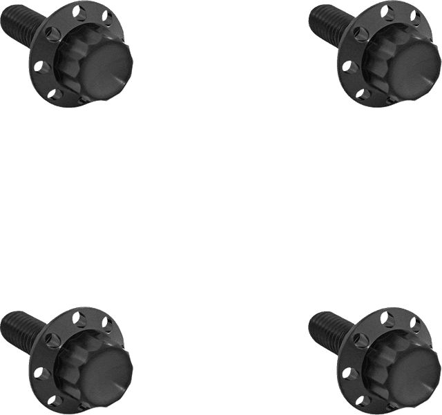ARLEN NESS 2401-1788 Bolt Kit - Windshield - Titanium - 12-Point - Black