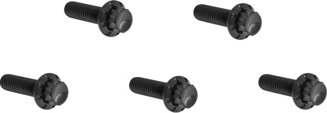 ARLEN NESS 2401-1791 Bolt Kit - Derby Cover - 12-Point - Titanium - Black