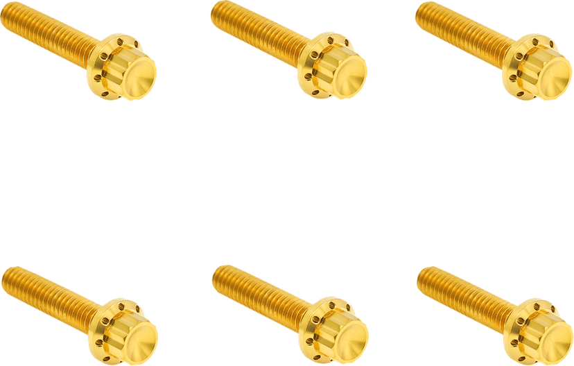 ARLEN NESS 2401-1810 Bolt Kit - Clutch Cover - Titanium - 12-Point - M8 Gen 2 - Gold