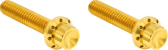 ARLEN NESS 2401-1817 Bolt Kit - Hydraulic Clutch - Titanium - 12-Point - M8/Twin Cam - Gold