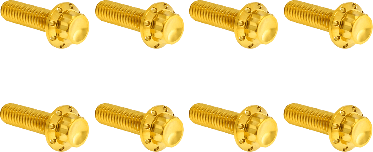 ARLEN NESS 2401-1820 Bolt Kit - Trap Door - Titanium - 12-Point - M8 - Gold