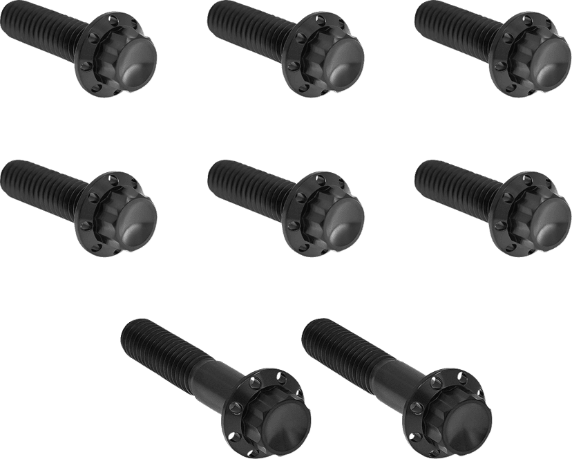 ARLEN NESS 2401-1822 Bolt Kit - Trap Door - Titanium - 12-Point - Twin Cam/6-Speed - Black