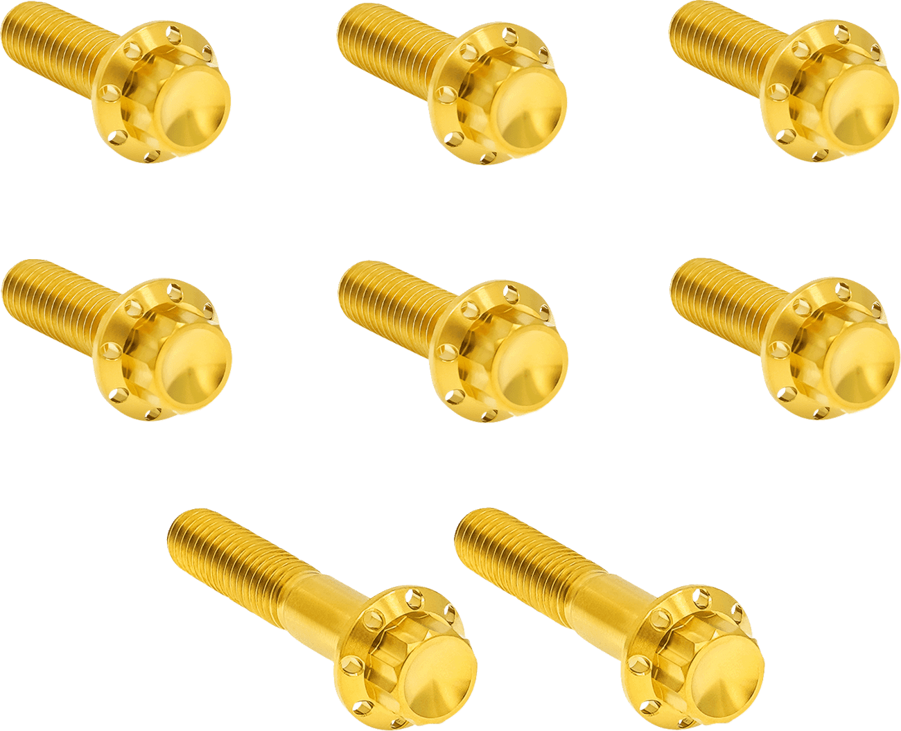 ARLEN NESS 2401-1823 Bolt Kit - Trap Door - Titanium - 12-Point - Twin Cam/6-Speed - Gold