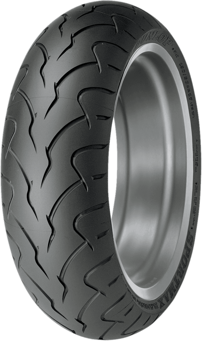 DUNLOP 3001-31 Tire - D207 ZR - Rear - 180/55ZR18 - (74W)