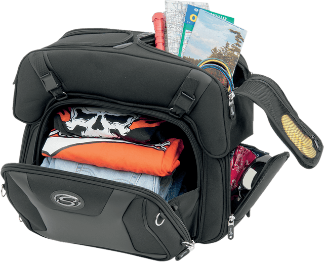 SADDLEMEN 3515-0141 FTB2500 Sport Sissy Bar and Combo Bag — image 5 of 7
