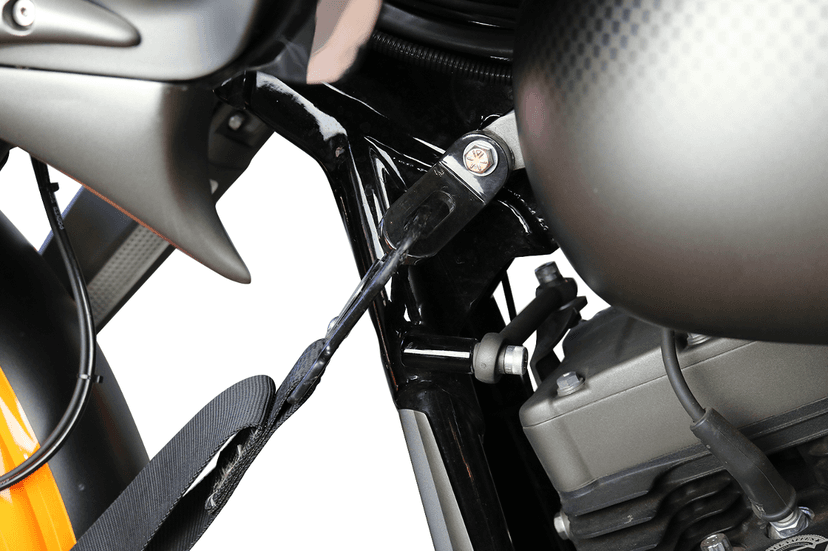 PAUL YAFFE BAGGER NATION 3920-0430 Touchless Tie-Down Ancho — image 2 of 2