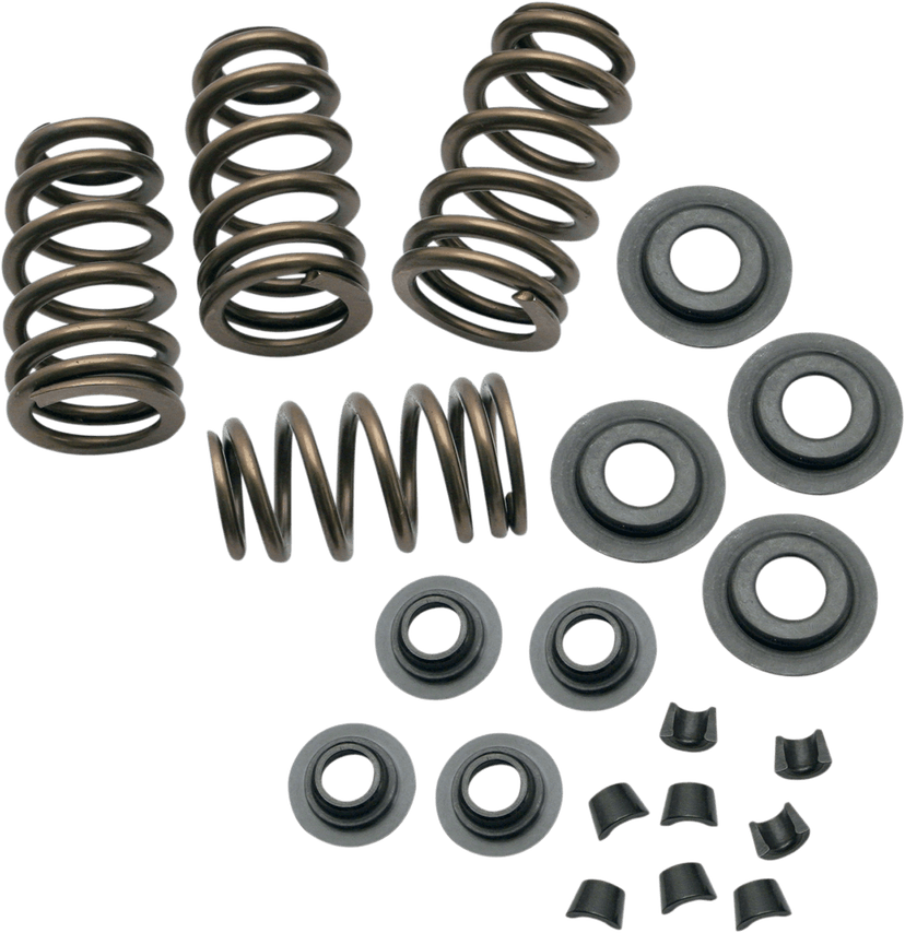 S&S CYCLE 0926-2056 Valve Spring Kit - 0.650" - Sidewinder® - Twin Cam '99-'04 | XL '86-'03