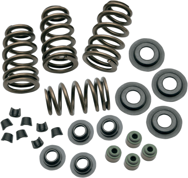 S&S CYCLE 0926-2069 Valve Spring Kit - 0.650" - Sidewinder® - 88"/96"/103" Twin Cam '05-'17