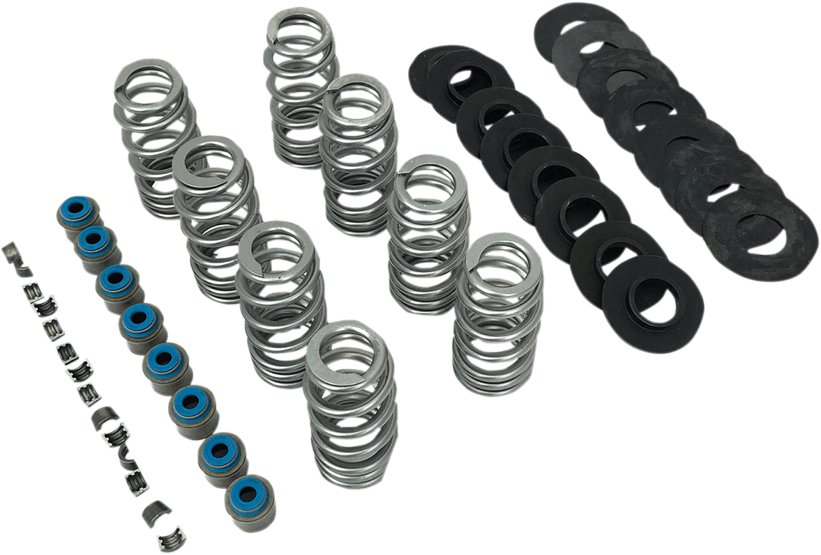 FEULING OIL PUMP CORP. 0926-2973 Valve Spring Kit - without TI Retainers - M8