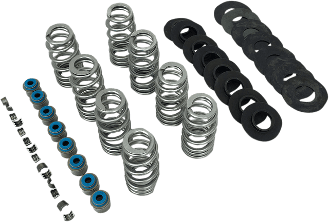 FEULING OIL PUMP CORP. 0926-2973 Valve Spring Kit - without TI Retainers - M8