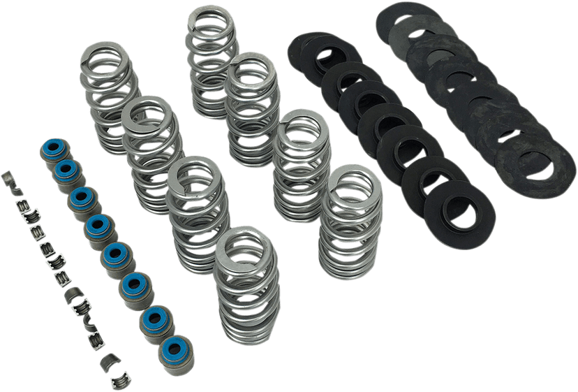 FEULING OIL PUMP CORP. 0926-2973 Valve Spring Kit - without TI Retainers - M8