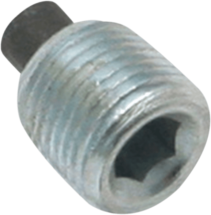 S&S CYCLE 0932-0171 Magnetic Plug - 1/8" NPT