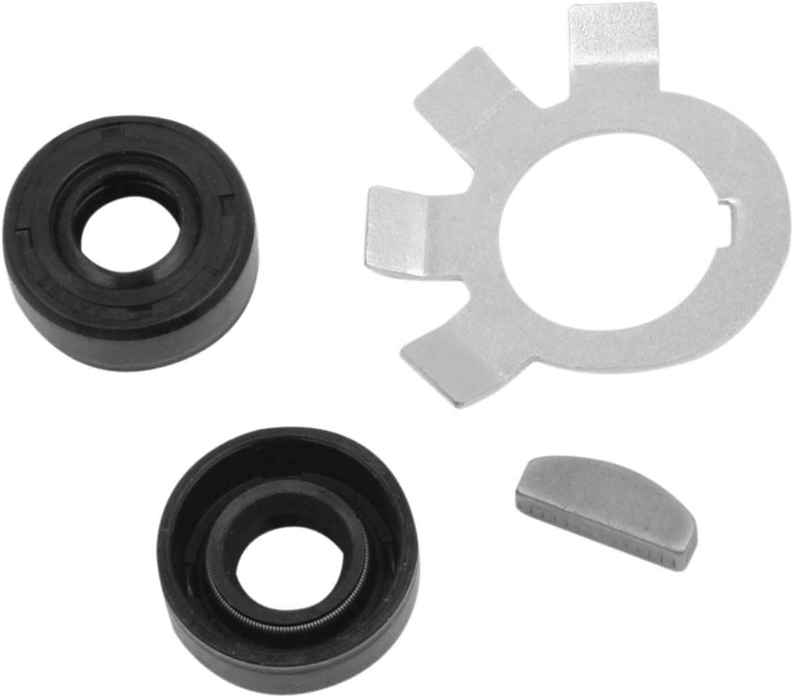 JAMES GASKET 0935-0081 Clutch Hub Nut Seal Kit