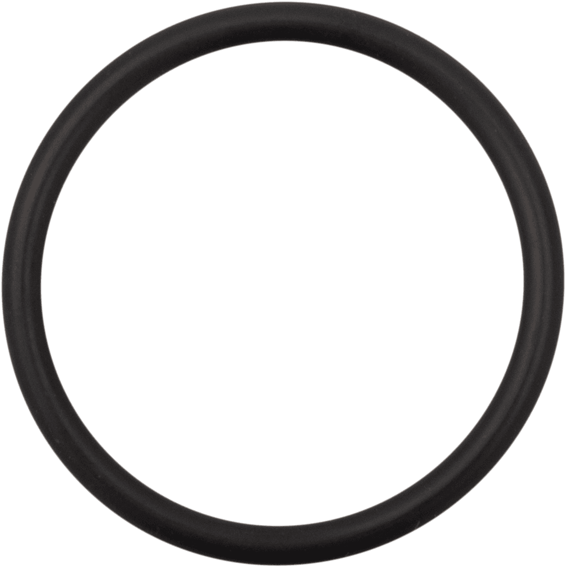JAMES GASKET 0935-1073 Alternator Cap Cover O-ring
