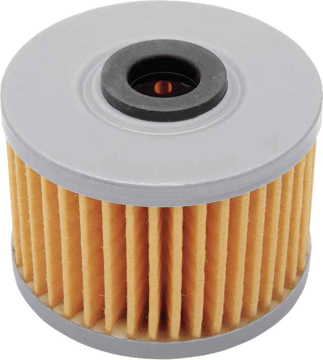 FRAM CH6015 Oil Filter - Honda/Kawasaki/Polaris/Suzuki