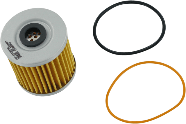 FRAM CH6070 Oil Filter - Kawasaki