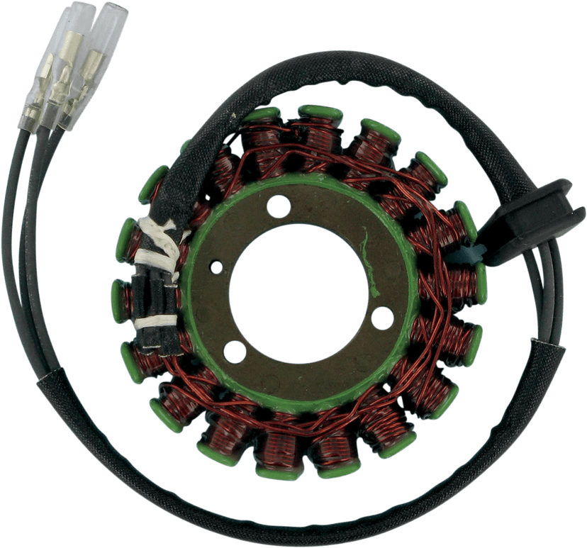 RICK'S MOTORSPORT ELECTRIC CKS1N Stator - '79-'80 Kawasaki