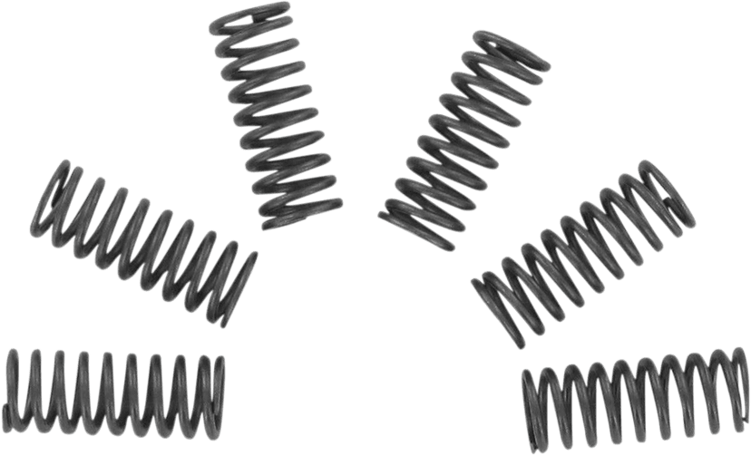 EBC CSK32 Clutch Springs