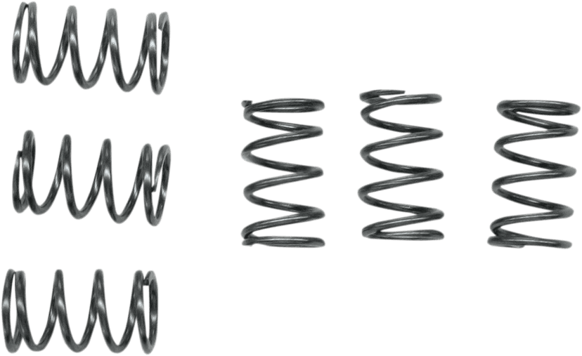 EBC CSK40 Clutch Springs